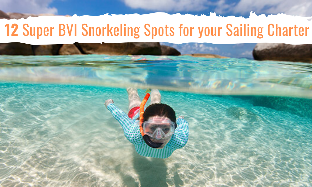 12 Super BVI Snorkeling Spots for your Sailing Charter