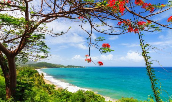 Beautiful view of a coastline in Puerto Rico