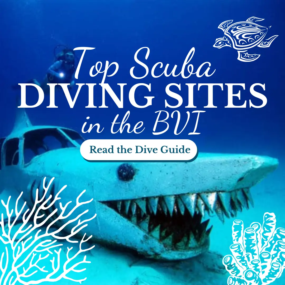 Top Scuba Diving Sites in the BVI