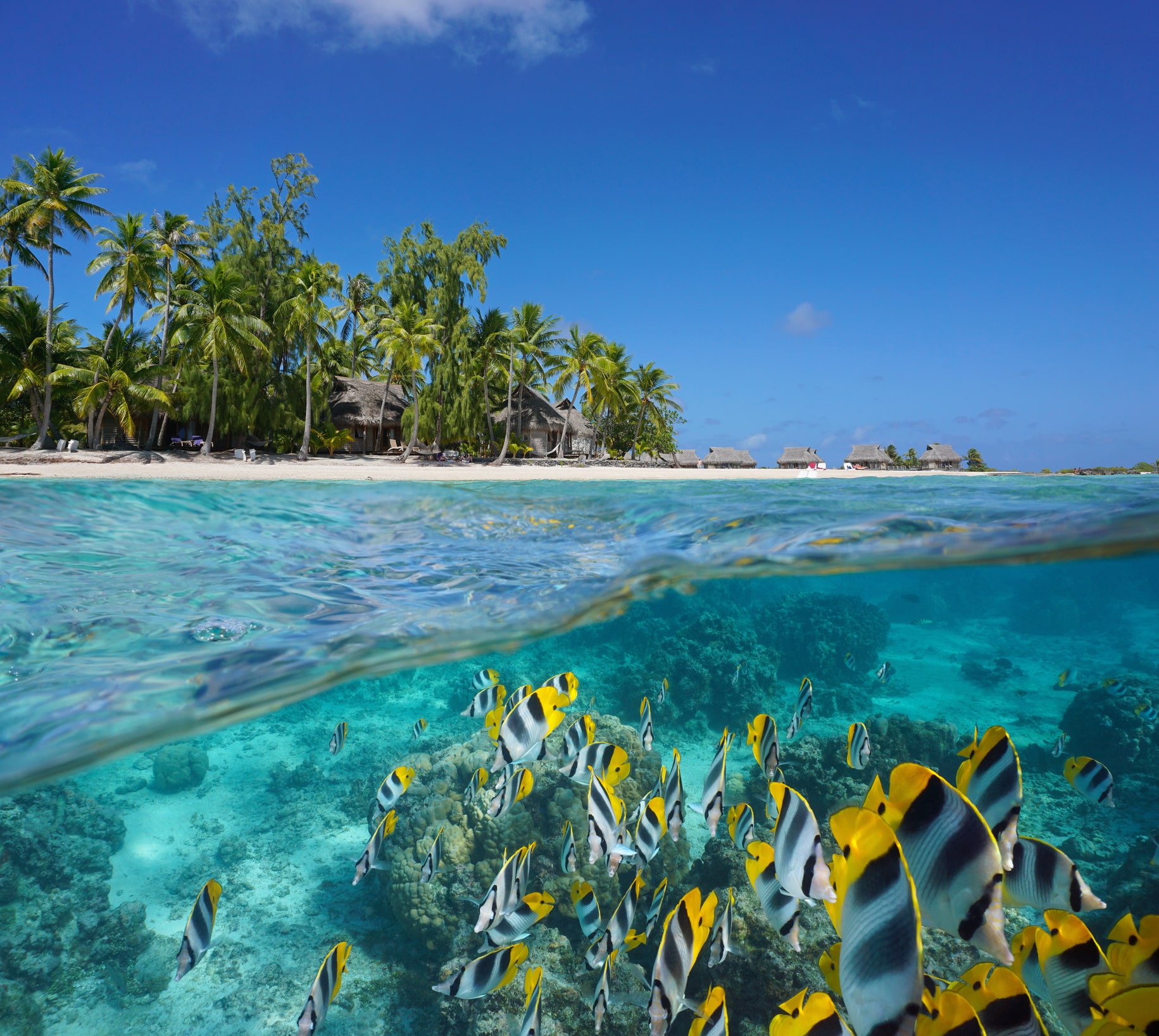 tuamotu-dream-7-nights-shared-charters-in-tahiti