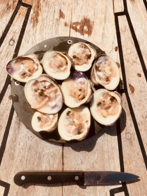 New England oysters