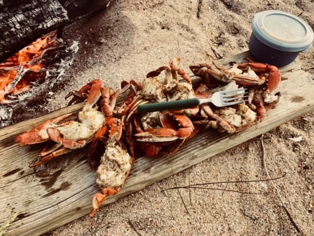 New England lobsters