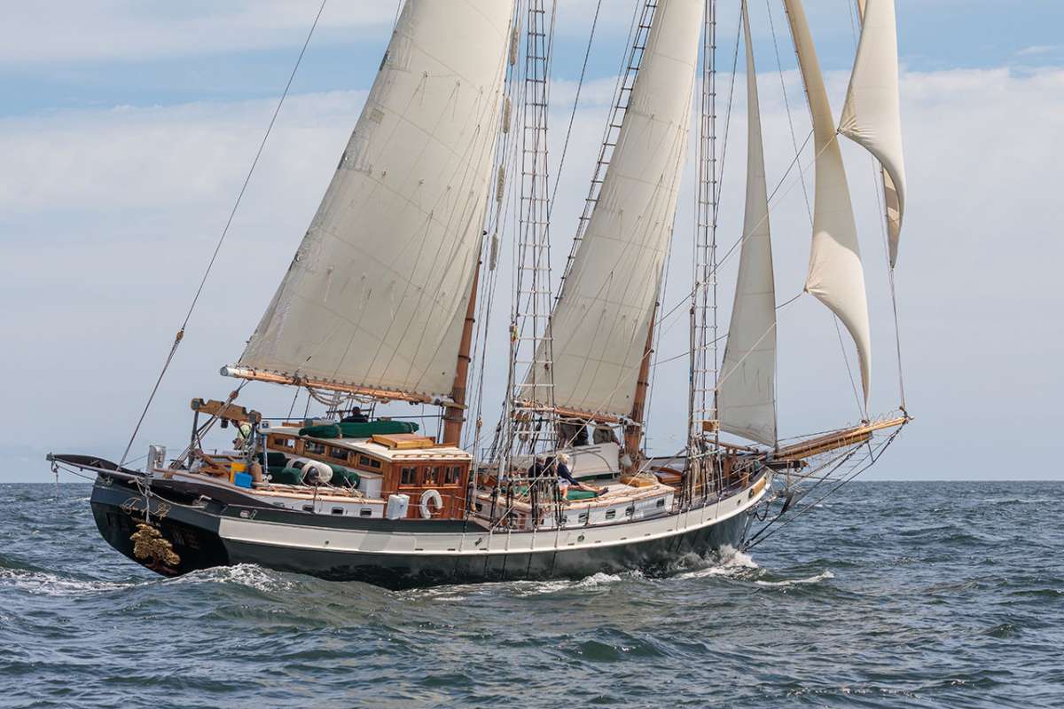 TREE OF LIFE Crewed Charters in New England