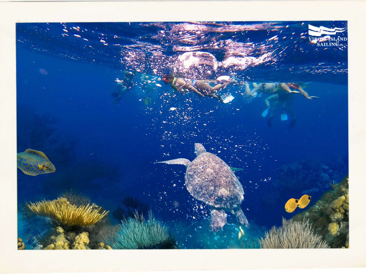 Underwater Snorkeling Trail