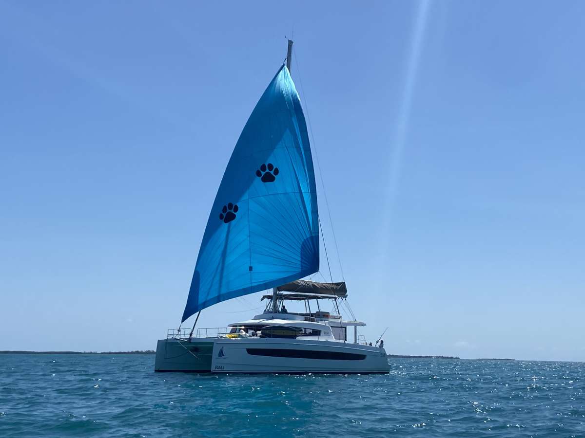 NAUTI DOGS 5.4 Crewed Charters in Bahamas - Nassau