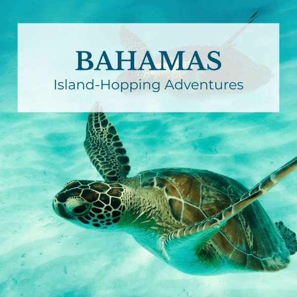 green turtle cay