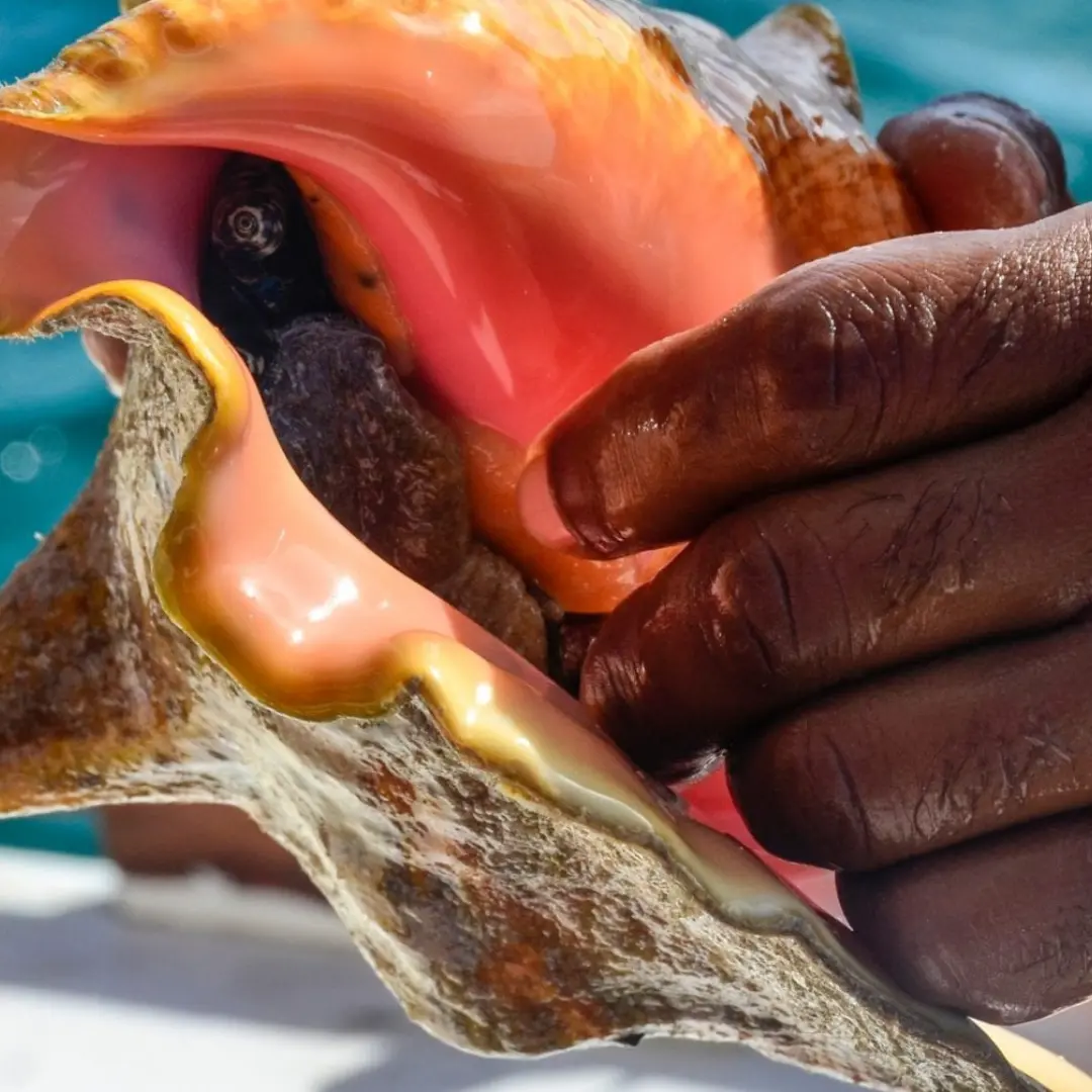 Belize yacht charter (1)