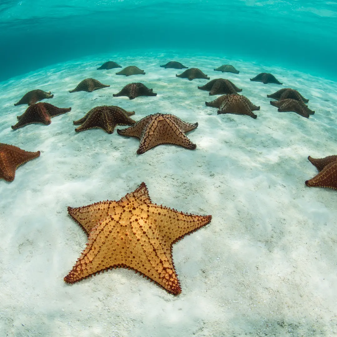 Belize yacht charter (4)