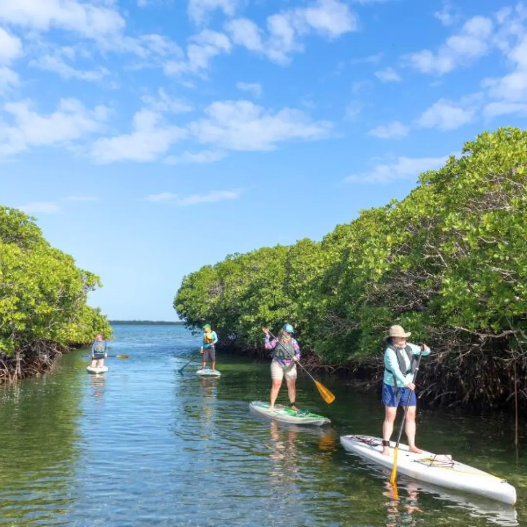 belize yacht charters