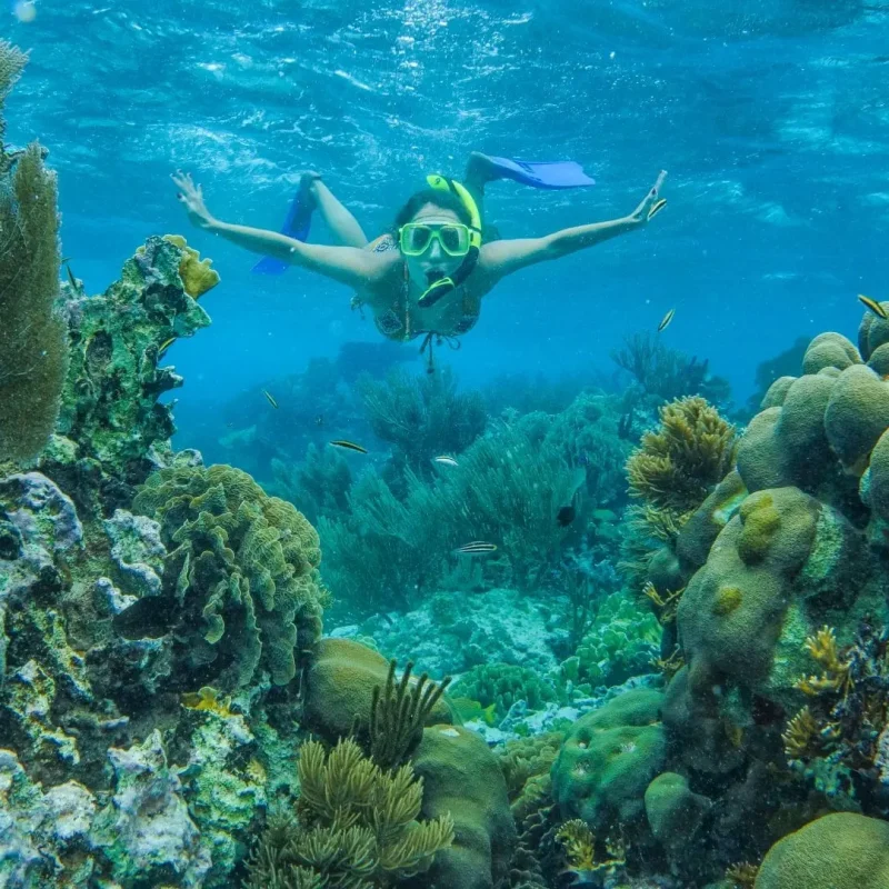 snorkeling yacht charter activity