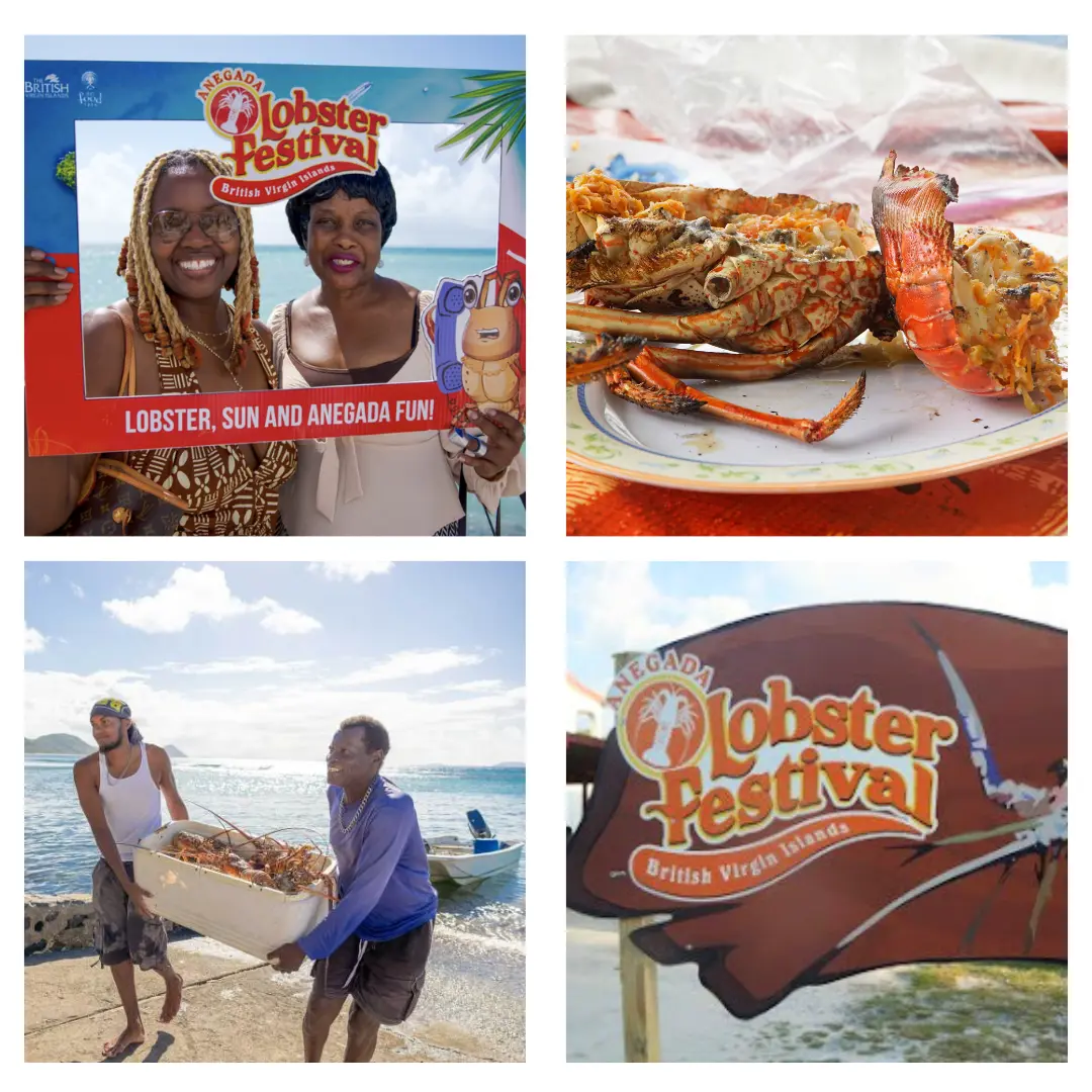 2026 anegada lobster festivals