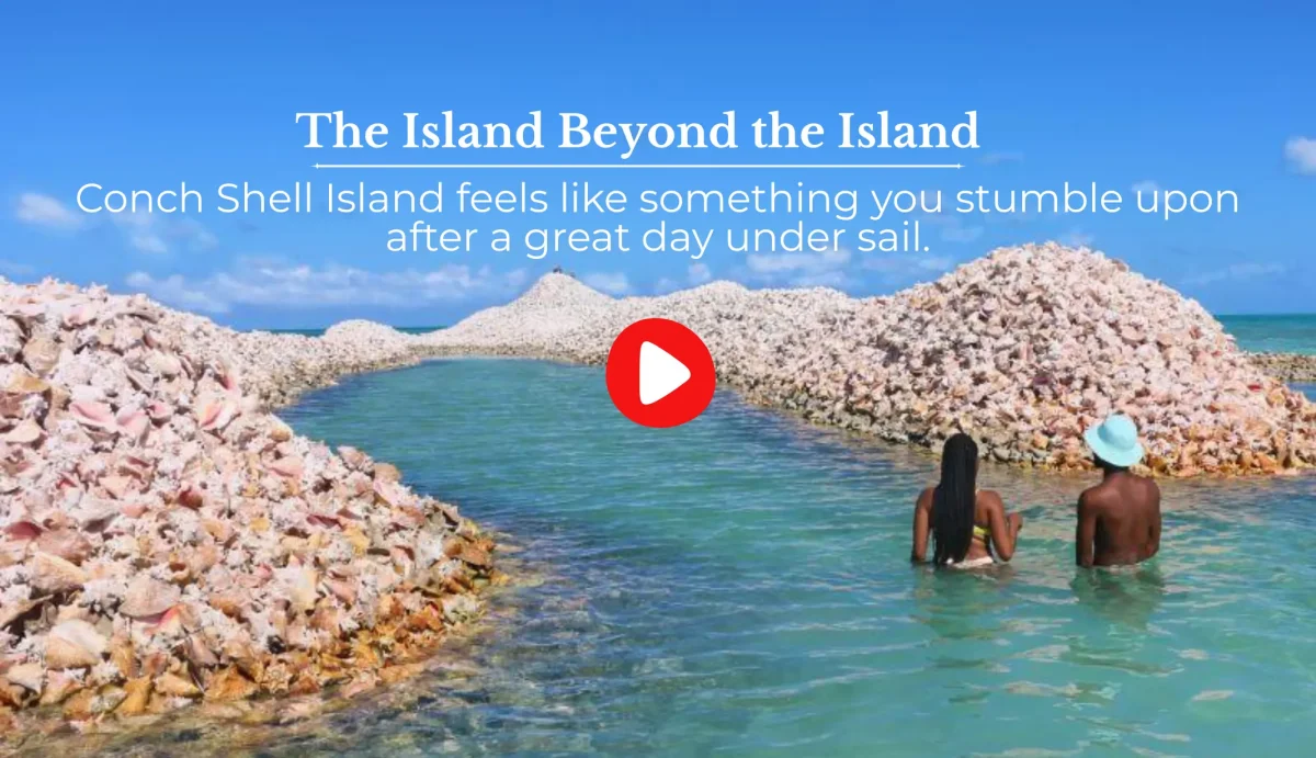 conch shell island vlog
