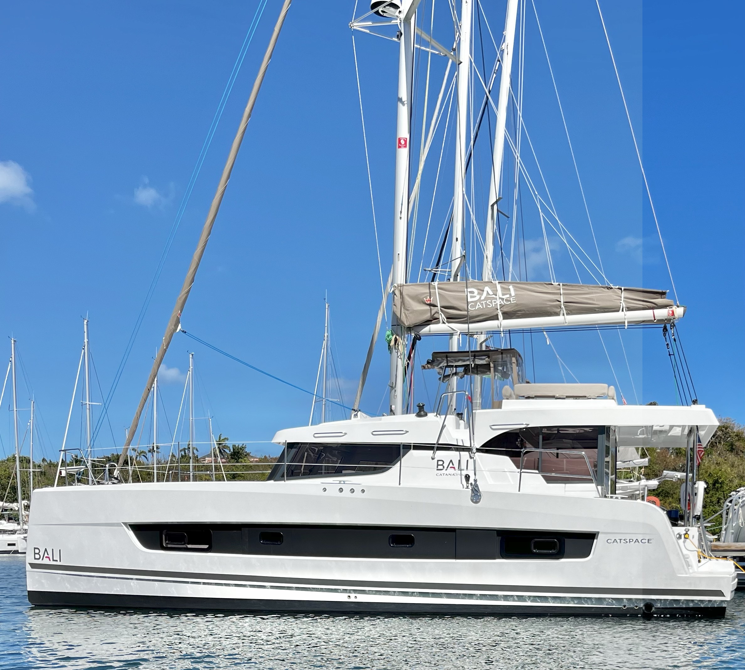 Pinnacle Cat Bareboat Charter in British Virgin Islands