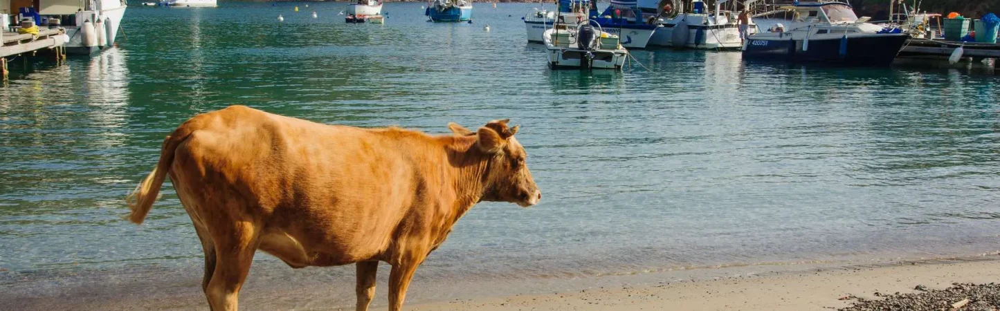 Girolata France Vacation