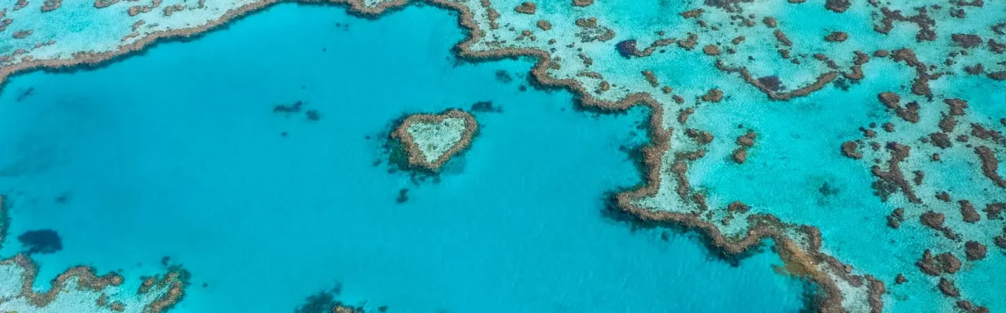 Heart Reef whitsundays austalia vacation